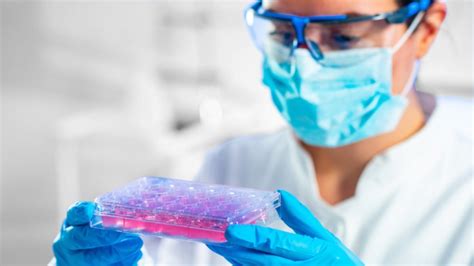 Octet Data Analysis Software 的图像结果