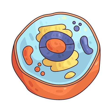 Image result for Cell Cartoon Image