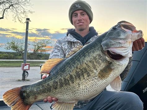 O.H. Ivie Lake Fishing Reports & Guides in Texas - FishTips | FishTips