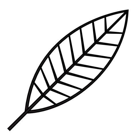 Leaf outline illustration, PNG with transparent background. 11911151 PNG