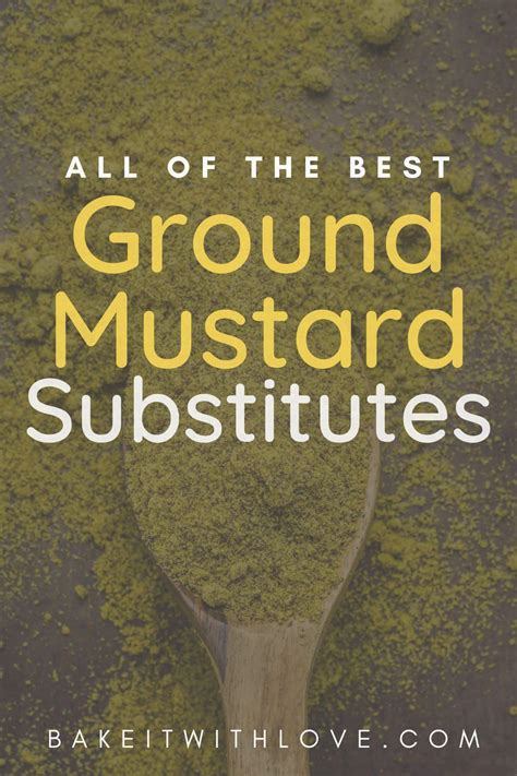 Best Ground Mustard Powder Substitute: 9+ Alternatives To Use!