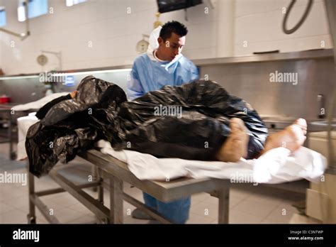 Forensic Autopsies 的图像结果