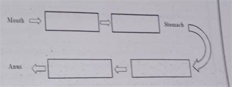 Fill up the empty boxes with suitable words - Brainly.in