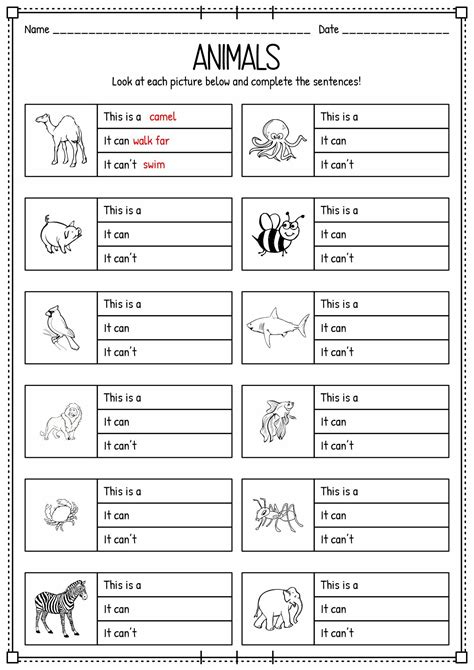 15 Classifying Animals Worksheets Preschool | Animal worksheets, English worksheets for kids ...