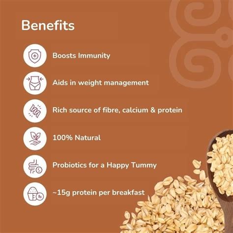 Overnight Chocolate Oats for Gut Health | Shop From MiHeSo
