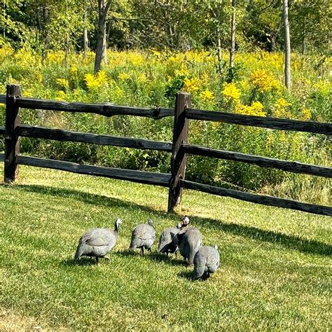 CLIFFSIDE PARK CAMPGROUND (Caledonia) - Campground Reviews & Photos ...