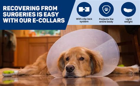 Buy Trixie Protective Dog Collar/E-Collar, Medium Online at Low Prices ...