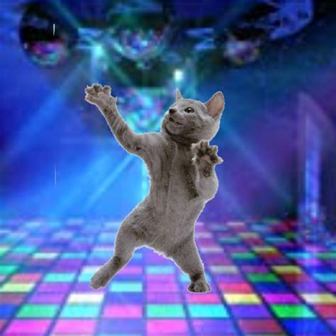 Dancing Cat Meme PFP