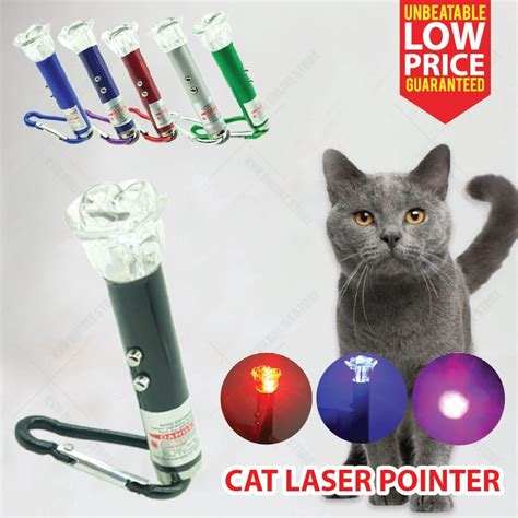 Image result for Laser Pointer Keychain