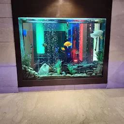 Constitution Club of India - Club - New Delhi - Delhi | Yappe.in