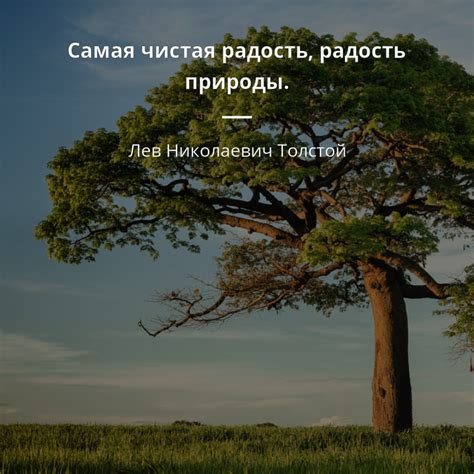 Цитаты о природе (1549 цитат) | Цитаты известных личностей