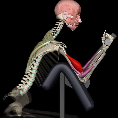 Image result for Muscle and Motion.com