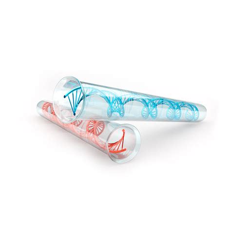 DNA RNA Extraction Process 的图像结果