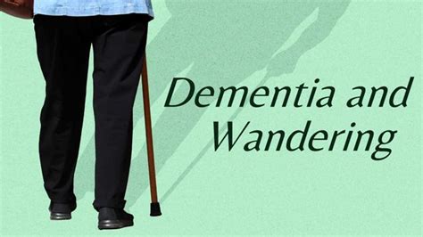 Image result for Computer Program Wandering