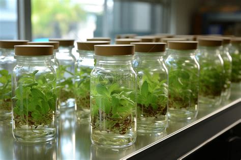 生物技术图片 的图像结果