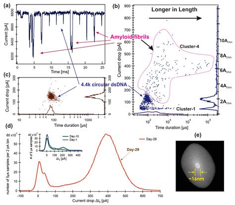 Aggregation and Oligomerization Characterization of ß-Lactoglobulin ...