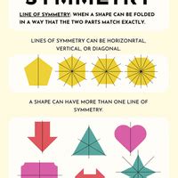 Infographics: Symmetry - Maths Olympiad Class 6 PDF Download