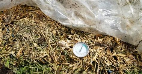 Image result for Soil Solarization Methods