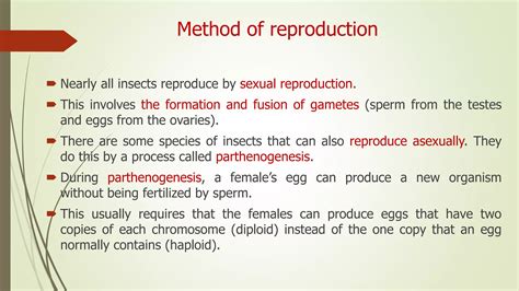 Image result for Insect Sexual Reproduction