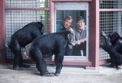 Central Washington University | myCWU Login Help