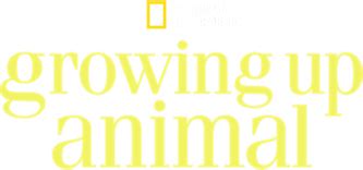 Growing Up Animal, Wildlife Documentary TV Series - Nonton Semua ...