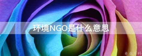 ngo是什么意思（关于ngo是什么意思讲解）_华夏智能网