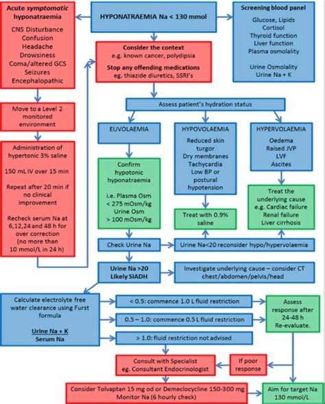 Hypernatremia Algorithm 的图像结果