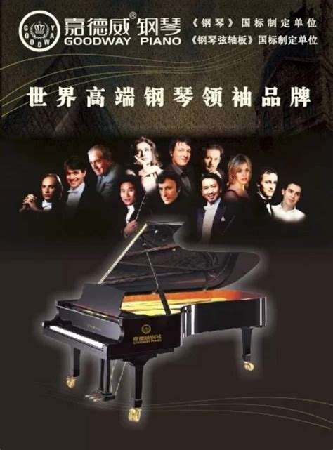 世界钢琴十大名牌排名：星海上榜，施坦威居第一名(3)_巴拉排行榜