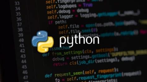 Image result for Python Bug Compurot