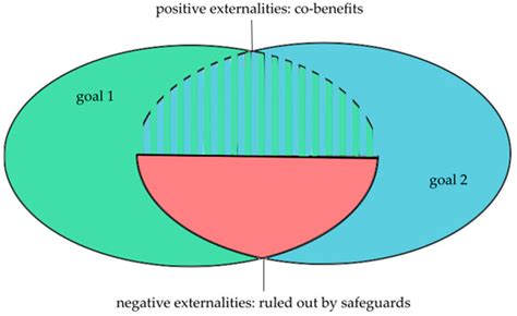 Multiple Wins, Multiple Organizations—How to Manage Institutional ...