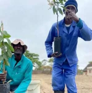 Help Environment in Local Communities 的图像结果