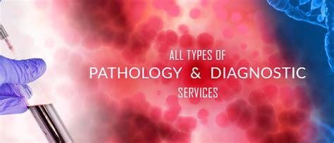 Focus Imaging and Pathology - Best Diagnostic Center in Sewla, Rohta ...