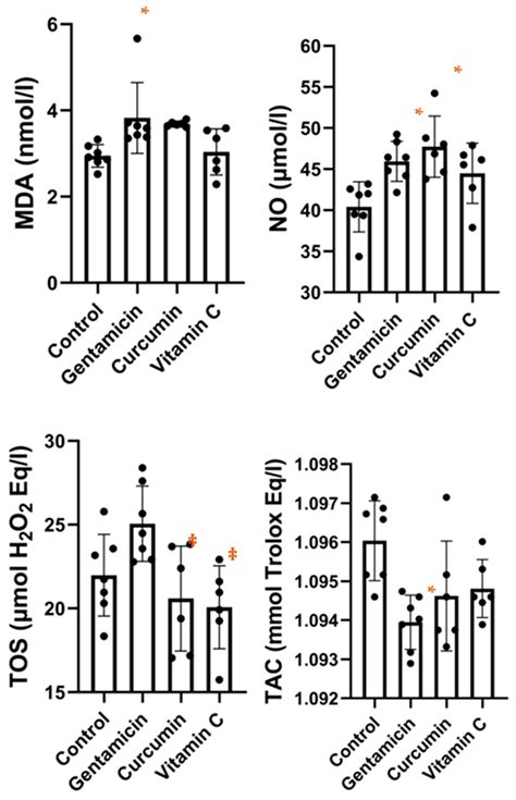 Curcumin and Vitamin C Attenuate Gentamicin-Induced Nephrotoxicity by ...