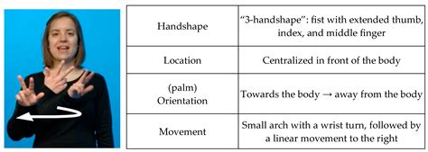 Numeral Incorporation as Grammaticalization? A Corpus Study on German ...