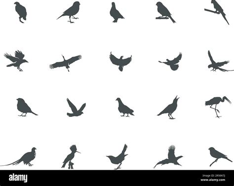Bird silhouette, Flying bird silhouette, Bird silhouettes, Bird clipart, Birds SVG, Bird vector ...