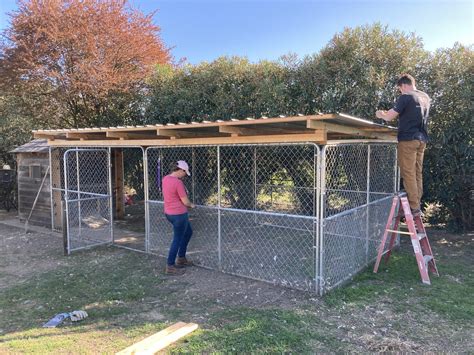 Chain-link dog kennels for run? | BackYard Chickens - Learn How to ...