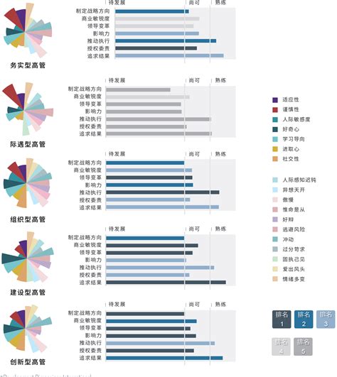 中国高管的五种典型样貌_DDI中国领导者十年领导力图鉴