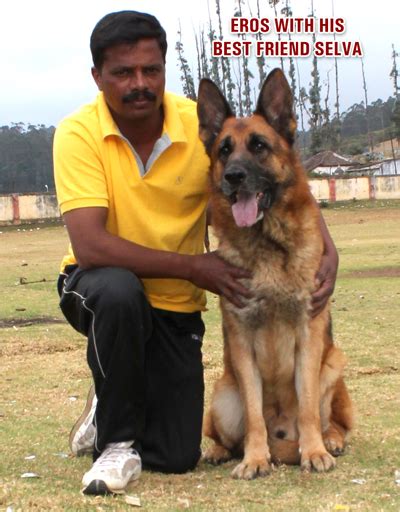 Best German Shepherd Dog