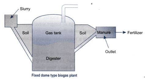 What is biogas? Describe the working of a biogas plant with the help of ...