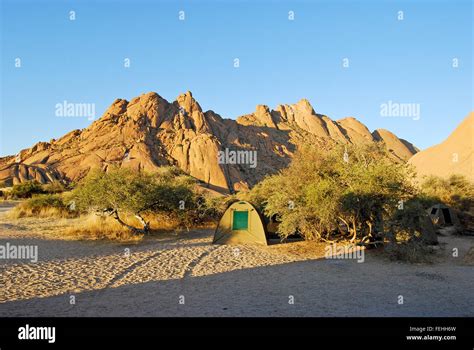 Image result for Simple Vector Patterns