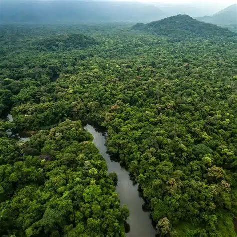 Aravalli Green Wall Project