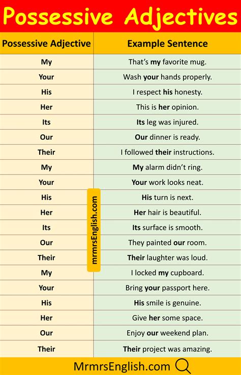 Possessive Adjectives Examples Sentences in English and Pictures - MR ...
