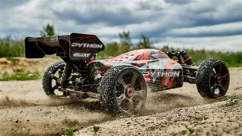 Image result for Corally Python