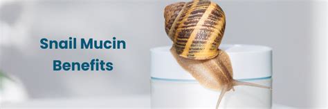 Snail Mucin Benefits: Skin Hydration, Healing