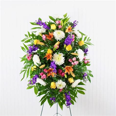 Large Peace Lily Plant | Midwood Flower Shop | Charlotte Florist Delivery