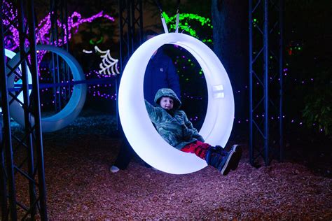 Wild Lights 2025 | Best Holiday Light Show in Detroit | Detroit Zoo