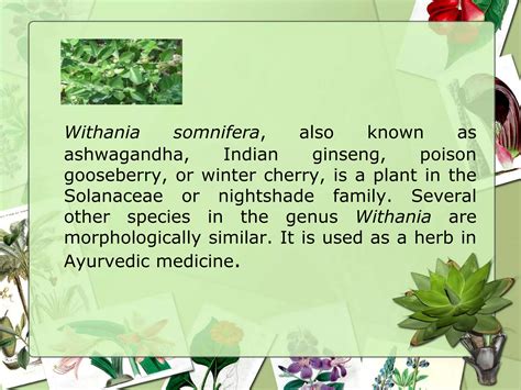 Aswagandha | PPTX