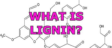 Detailed list of various Biomass materials with their Lignin content ...