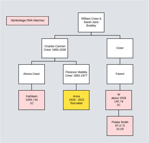 Image result for Ancestry Triangulation