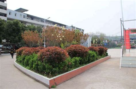 清镇博雅国际实验学校初中部2023年学费、收费多少